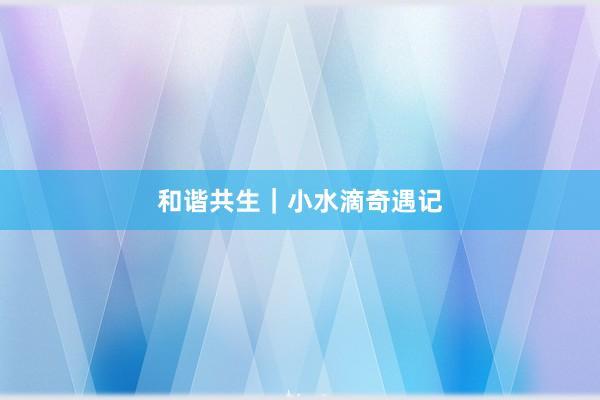 和谐共生｜小水滴奇遇记