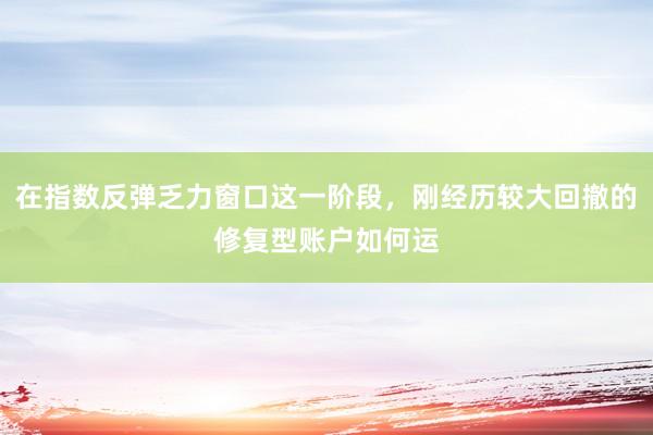 在指数反弹乏力窗口这一阶段，刚经历较大回撤的修复型账户如何运